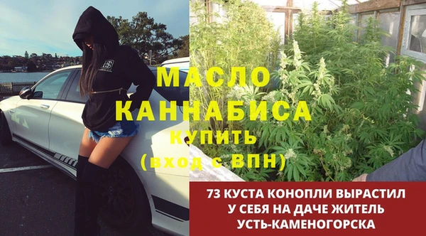крисы Аркадак