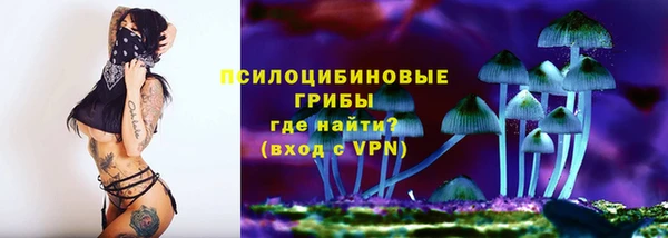 PSILOCYBIN Армянск