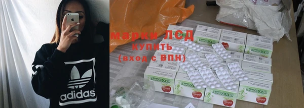 PSILOCYBIN Армянск