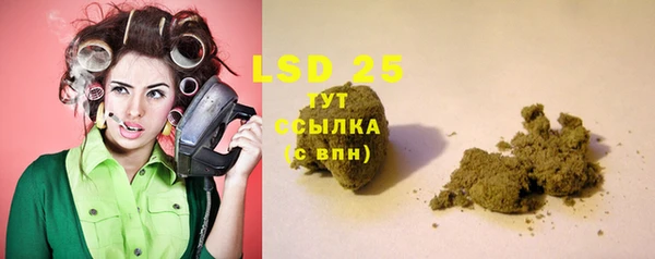 крисы Аркадак