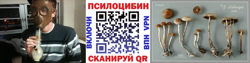 Галлюциногенные грибы Cubensis Палласовка