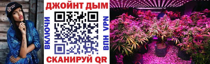 Канабис гибрид Палласовка